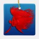 Search for betta fish christmas tree decorations Freshwater
