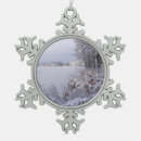 Search for freezing christmas tree decorations Nature