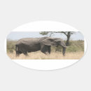Search for tusk stickers Elephant
