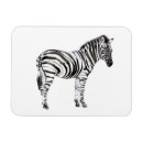 Search for zebra rectangular magnets Animals