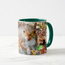 Search for squirrel eating mugs Squirrels