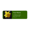 Search for yellow daffodil return address labels Summer
