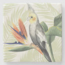 Search for birds barware Tropical