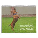 Search for dachshund calendars Doxie
