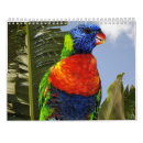 Search for parrot calendars Tropical