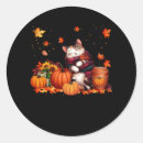 Search for thanksgiving cat stickers Pumpkin