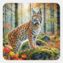 Search for lynx stickers Feline