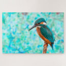 Search for kingfisher puzzles Blue