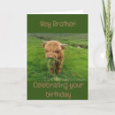 Search for funny brother in law cards Photography