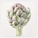 Search for made in 1993 stickers Vegetable botanical