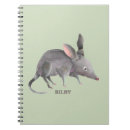 Search for bilbies Animal