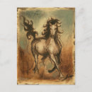 Search for stallion postcards Riding