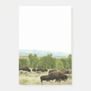 Search for bison personal stationery Nature