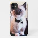 Search for siamese cat iphone cases Seal point