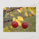 Search for apple postage Fruit