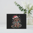 Search for dachshund dog postcards Red