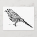 Search for colourful bird art postcards Drawing