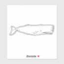 Search for marine mammal bumper stickers Whale