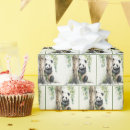 Search for panda bear wrapping paper Cute
