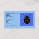 Search for bed bugs Extermination