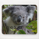 Search for koala electronics Sweet