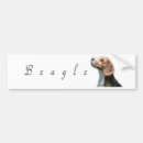 Search for beagle bumper stickers Puppies