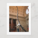 Search for natural history museum postcards Dinosaur