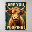 Search for highland cow posters Scottish