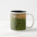 Search for mauritius mugs Tropical