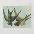Search for vintage blue bird cards Pretty