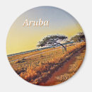 Search for divi Aruba