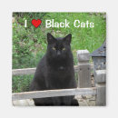 Search for black cat magnets Kitty