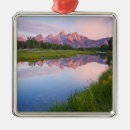 Search for jackson hole christmas tree decorations Landscape