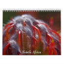 Search for hippo calendars Lions