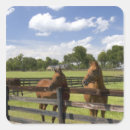 Search for thoroughbred horse stickers Field