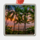 Search for palm beach christmas tree decorations Travel