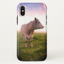 Search for pasture Country
