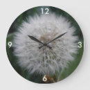Search for weed clocks Plants