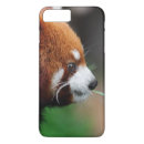 Search for red panda iphone cases Bear