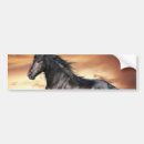 Search for black beauty bumper stickers Horse
