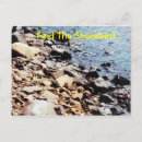 Search for shorebirds cards invites Beach