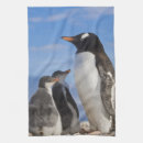 Search for habitat tea towels Wildlife