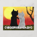Search for shelters postcards Cats