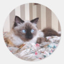 Search for kawaii eyes stickers Retro