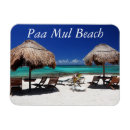 Search for riviera maya magnets Sea