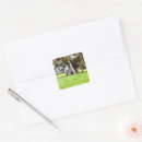 Search for gummed stickers Nature