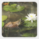 Search for lili stickers Animal