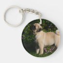 Search for profiling key rings Standing