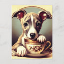 Search for whippet postcards Puppy