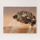 Search for descendants puzzles Landing